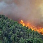 Pembangunan di Kalbar Dinilai Belum Adil dan Merata, Aktivis Sebut Komitmen Pemerataan Hanya Ada di Norsan-Krisantus